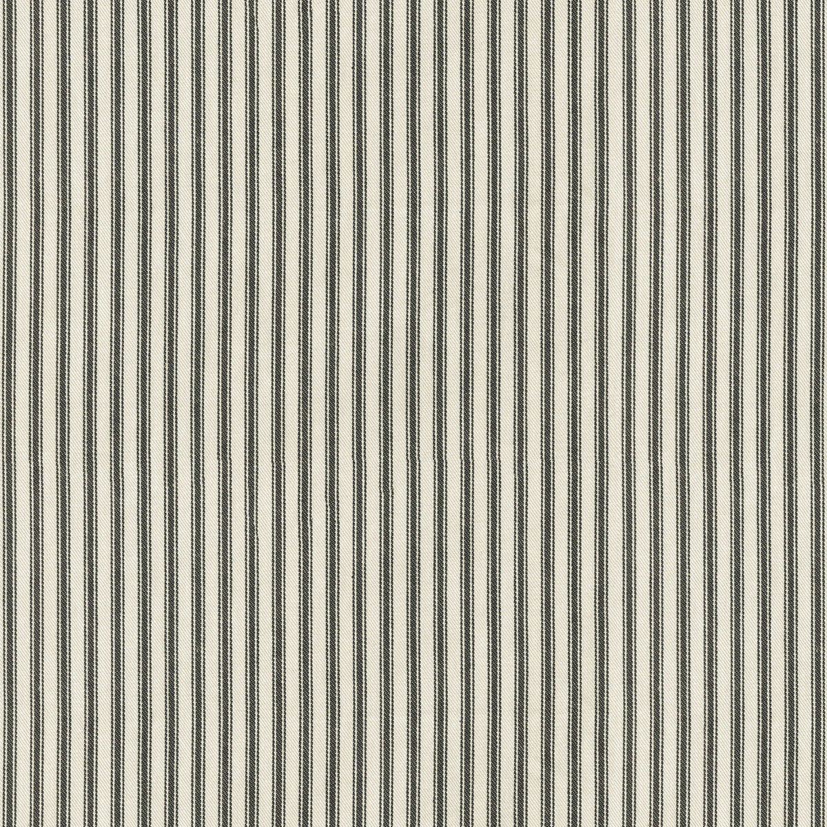 Jack Stripe in Tuxedo