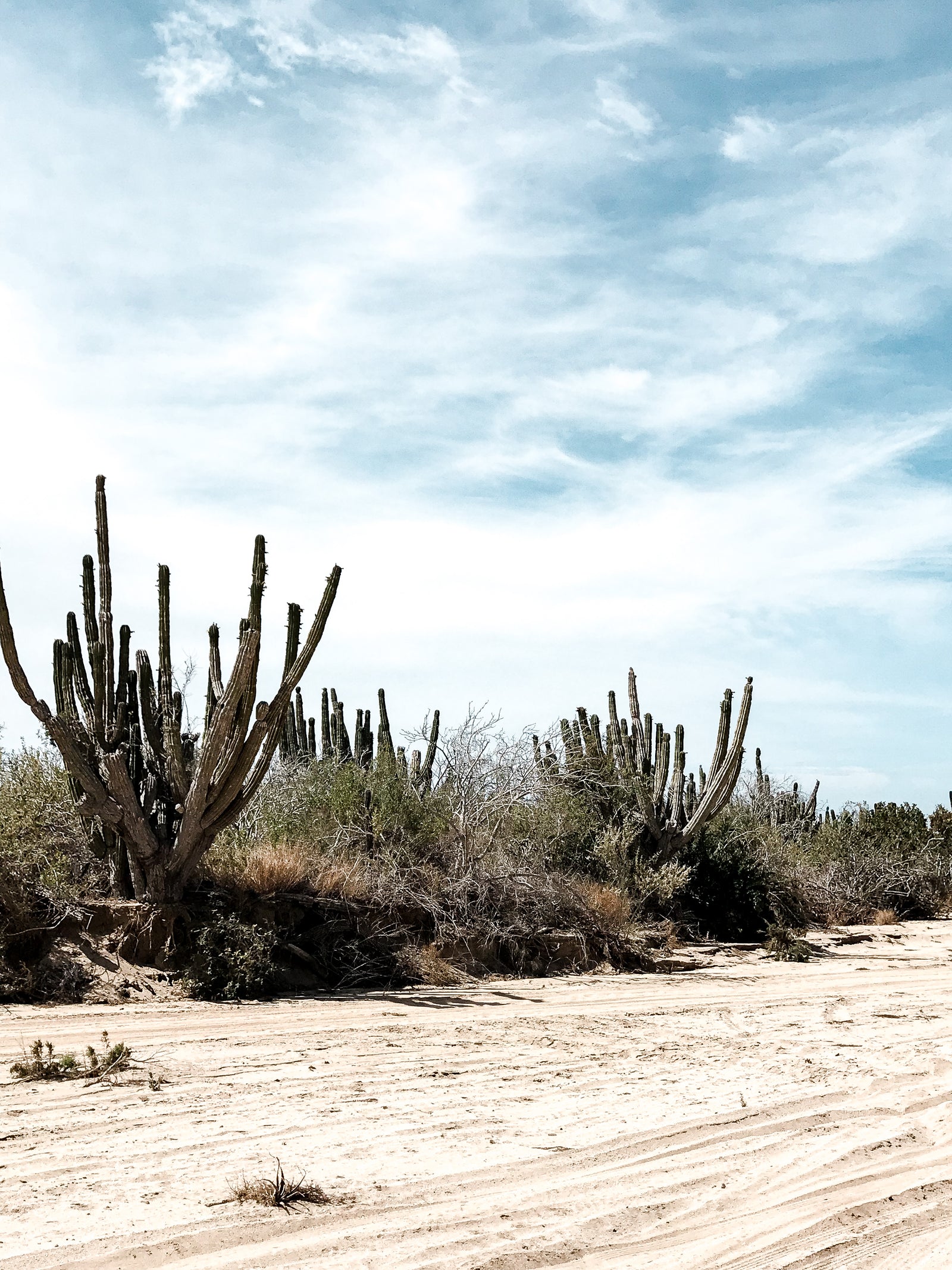 greige textiles collection six inspiration Los Cabos Mexico 