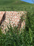 Cie Burnt Orange on Oyster greige textiles