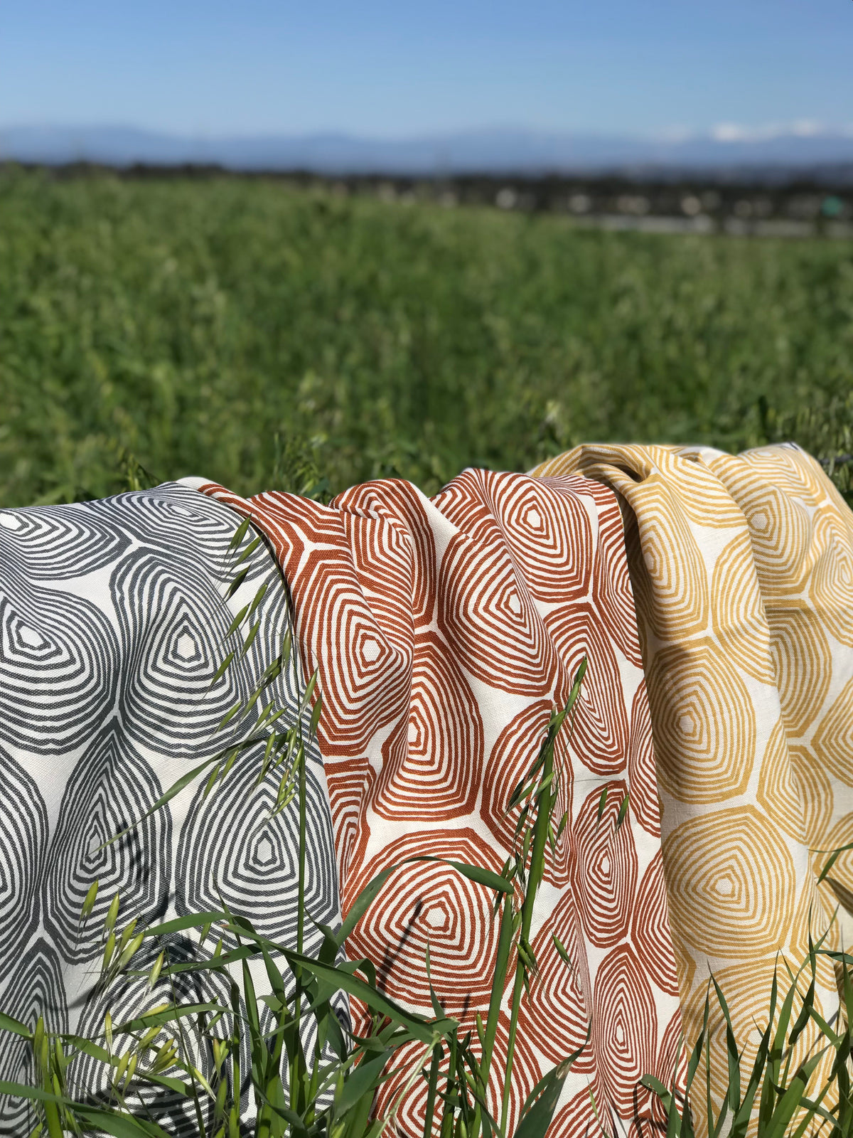 Ward Fabric Azure on Oyster