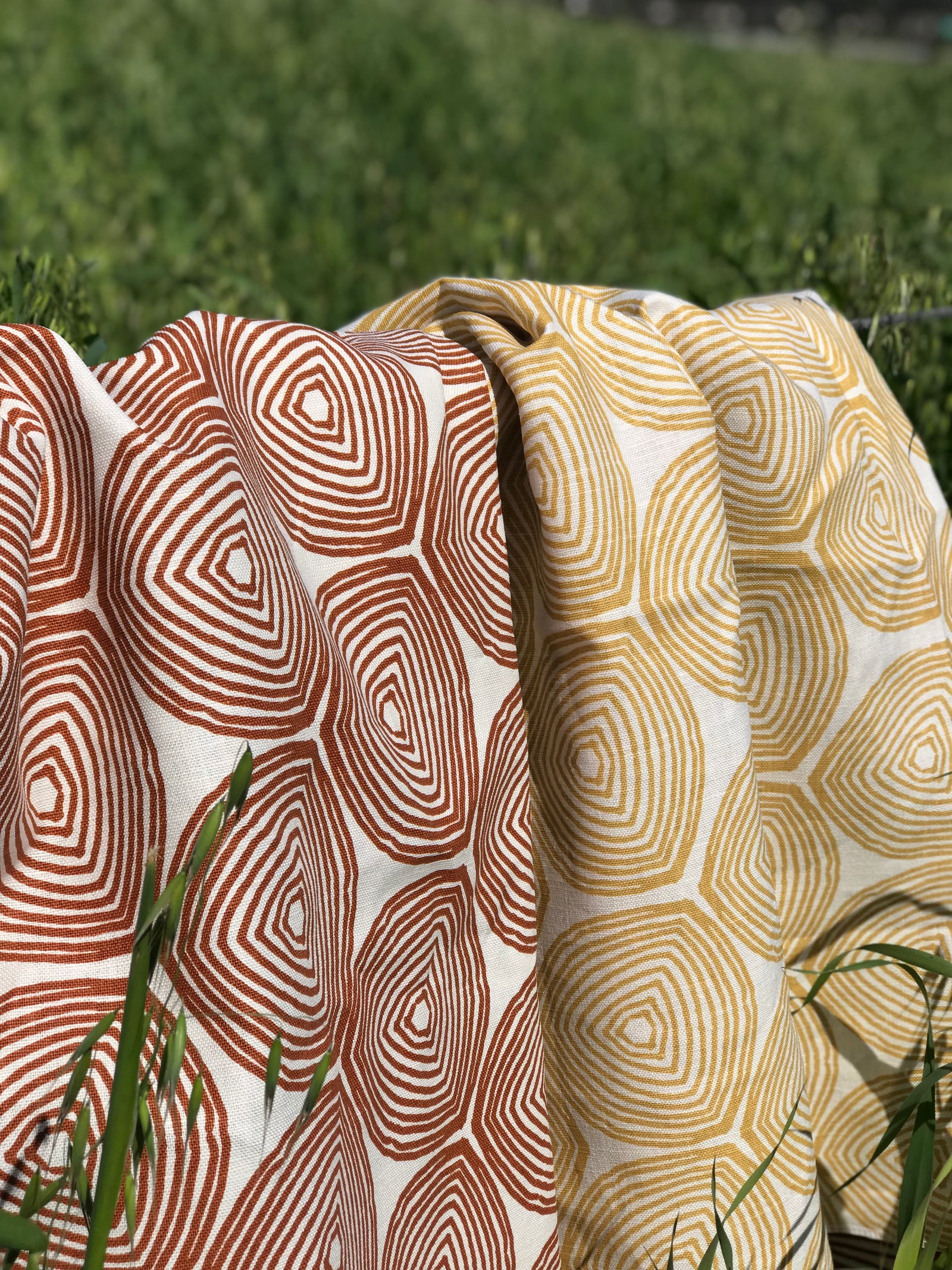 Ward Fabric Burnt Orange on Oyster