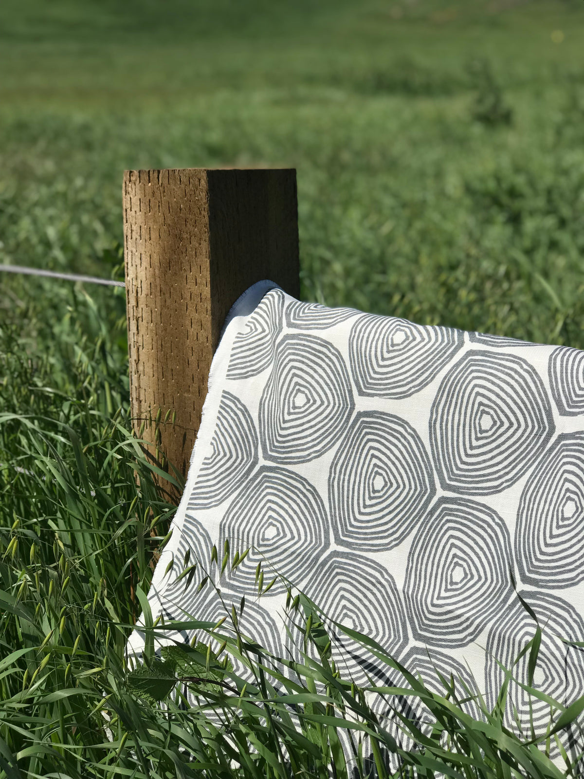 Ward Fabric Azure on Oyster